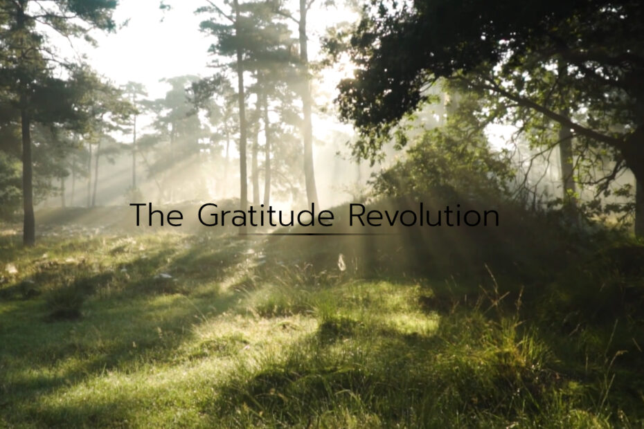 Power of Gratitude