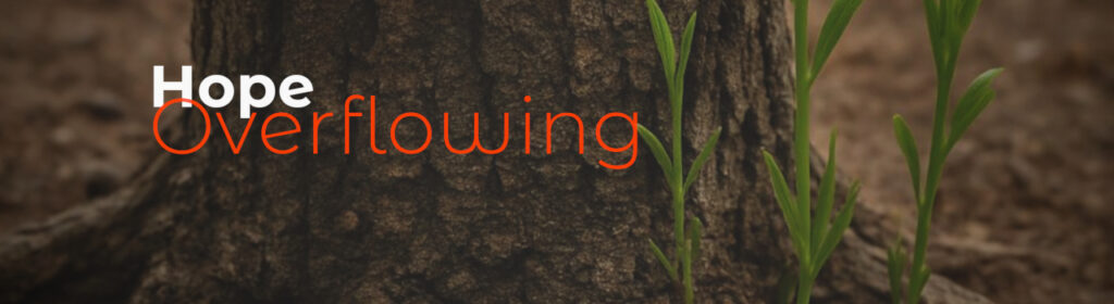 Speak Life: Make Hope Overflowing Your Leadership Tone 1 Hope Overflowing