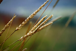 Join Us in Our 2025 Reflection on Building Lasting Strength Through the Abundant Life