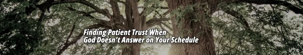 Finding Patient Trust When God Doesn’t Answer on Your Schedule 2 Patient Trust