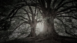 Build Unshakeable Strength for Leadership and Life. 8 Finding Patient Trust When God Doesn’t Answer on Your Schedule