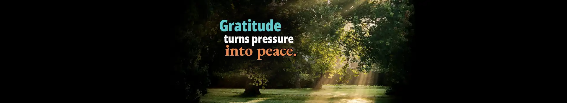 A tranquil forest scene with sunbeams shining brightly through the trees alongside the quote, "Gratitude turns pressure into peace," illustrating the calming power of Biblical Gratitude.