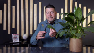 Spiritual Pruning: How God Cultivates a Fruitful Life