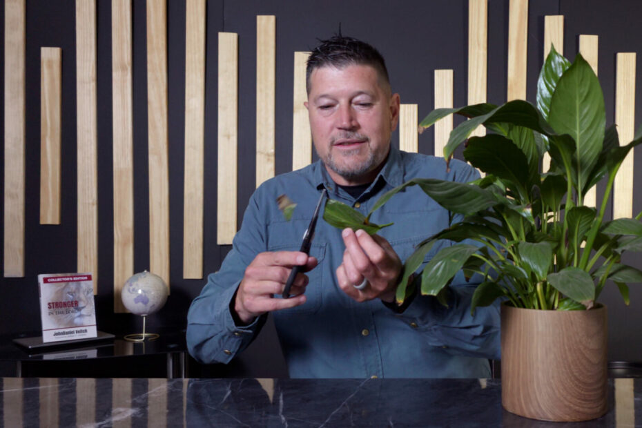 Spiritual Pruning and Fruitfulness with John Veitch pruning a plant with scissors